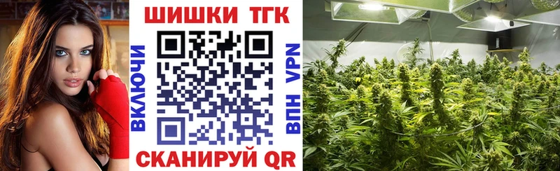 Шишки марихуана конопля Тамбов